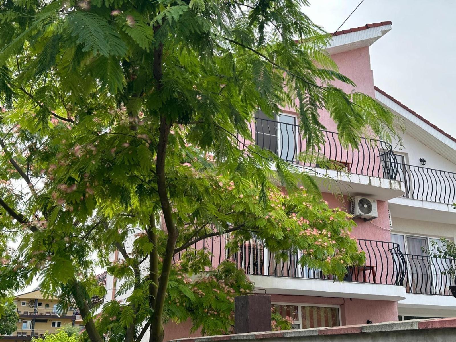 Hotel Vila Lucy Costinești Exterior foto